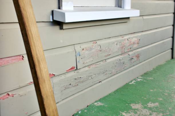 Best Construction Debris Removal  in USA